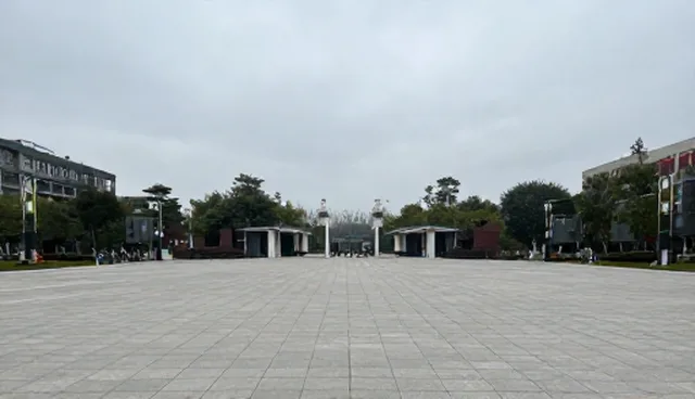 慢病随访系统性能优化与适用条件分析